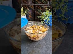 How to make banana peel liquid fertilizer #fertilizer #liquidfertilizer #lipshaworld #garden