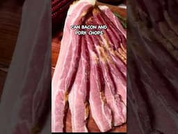 Can Bacon and Pork Chops Be Part of a Wellness Plan? #pasturedpork #pasturedpigs #covercrops