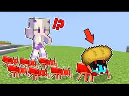 PepeSan became ANT in Minecraft!