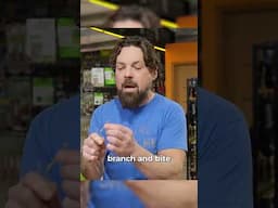 Bite Test for the Perfect Cure! When to Move from Drying to Curing