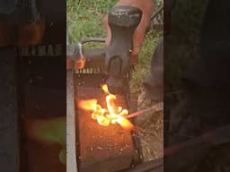 Forging a Leaf 🍃