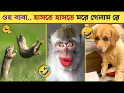 প্রাণীদের অস্থির মজার ভিডিও দেখুন 🤣 হাসি থামবে না 😂 প্রাণীদের মজাদার ভিডিও ২০২৫ 😂 Animal Moments 104