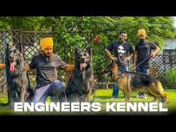 German Shepherds Worth Lakhs 💸 | India's Premium Dog Breeding Facility!