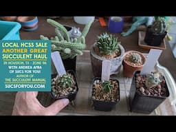 Another great succulent haul! From the May 2025 Houston Cactus and Succulent Society Sale