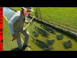 We BUILT My PET STURGEON a RIVER in MY BACKYARD!