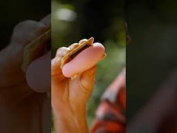 Don't Eat That Marshmallow