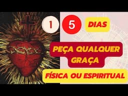 OS 15 DIAS PARA O SAGRADO CORAÇÃO DE JESUS  Faça a experiência