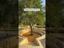Hidden Oasis in Dubai #dubai #dubaivlog