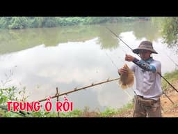 Tập 2 - Kỷ Lục Mới Đụng Bầy Cá Tai Tượng Kéo cần Xém Rơi Xuống sông.. Câu Cá Và Nướng Ăn Trong Rừng