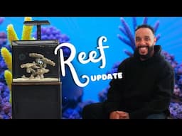 How I Setup My Maxspect Dice AIO Reef Aquarium #ReefUpdate