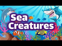 Sea Creatures for Kids | Homeschool Pop