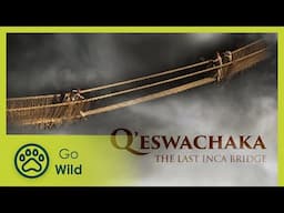 Q'eswachaka: The last Inca Bridge | Go Wild