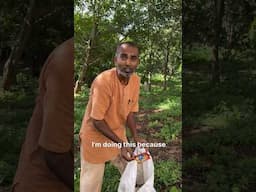 Clean-up Drive on World Environment Day near Sadhguru Sannidhi Bengaluru