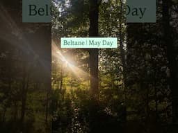 Beltane | May Day #shorts #witch #beltane #mayday #pagan #witchtok #greenwitch #forestwitch #magick