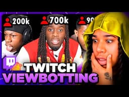 TWITCH Has A View Botting PROBLEM