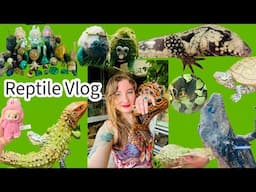 Reptile Vlog Day