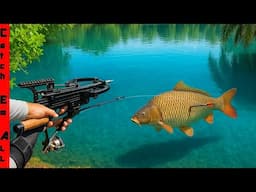 We BUILT a Mini CROSSBOW for FISHING!