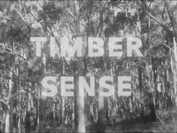 Timber Sense (c.1960s)