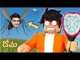 I Became a Mosquito🦟