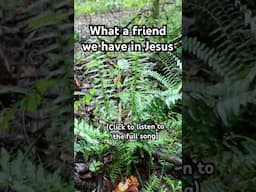 What a friend we have in Jesus, all our sins and griefs to bear #whatafriendwehaveinjesus #hymns