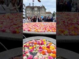 Rose Fountain In Zurich Switzerland🌹🇨🇭