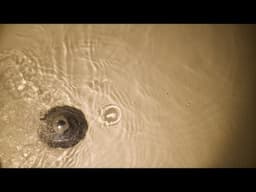 Drain.exe