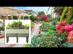Prepping Garden for Spring and Summer crops