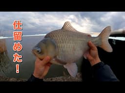 ヘラブナ釣りの遊園地みたいな水系で遊ぶのが私の人生