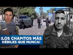 Tres Jefes de SICARIOS Caídos y la Cacería Sigue: El Fin de los Chapitos se ACERCA