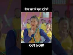 Khai Ta Mayale Kura Bujheko #newsong #binaraut