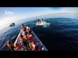 Puerto Vallarta Like You've Never Seen Before – Top Tours & Excursions