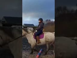 Coming along 😁 3 months back in the saddle! #horseriding #scotland #horses