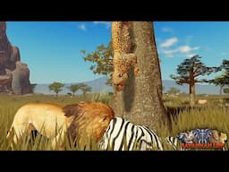 Lions and Leopard Compete in the Ultimate Zebra Chase! | ROBLOX Savannah Life