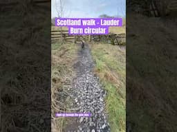 Lauder Burn walk, Scotland #doglife #australianlabradoodle #labradoodles #scottishadventure