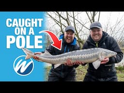 The Biggest Fish We'ver EVER CAUGHT on a POLE! | Match Fishing Challenge