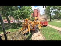 Cleaning up storm damage