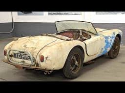 1957 AC Ace Bristol Restoration | From Le Mans Racer to Concours Perfection