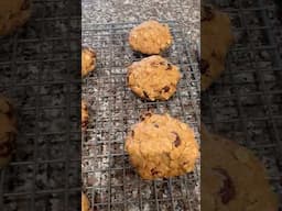 The chewiest oatmeal raisins cookies #shorts #trending #ytshorts #cookies #breakfast #food