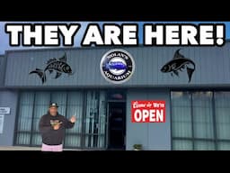THIS AQUARIUM STORE IS IN A SECRET HIDDEN LOCATION!