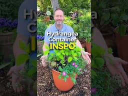 Best Companion Plants for Container Hydrangeas
