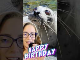 Meet the World's Oldest Harbor Seal Who Just Turned 50!