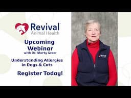 Understanding Pet Allergies: Free Webinar with Dr. Marty Greer on May 28