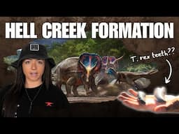 COOLEST FOSSIL SITE (ft. Hell Creek Hooligans) FIELD TRIP