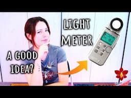 Using light meter with Orchids? Cutting long Phalaenopsis stem? Q&A May 2025