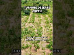 Turning Deserts Green