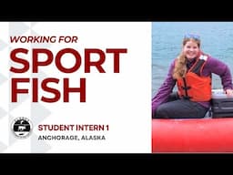 Student Intern 1 Job Opportunity