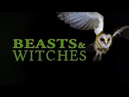 Beasts & Witches: The Secrets of the Farm #animals #folklore #stories #4k