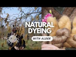 How I Naturally Dye Yarn with Alder 🍂 | Slow Craft & Local Colour