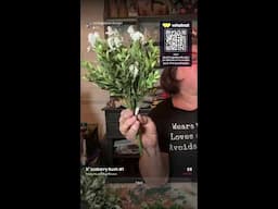 Vintage, Home Decor, Canvas, & Greenery