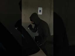 Compustar - Hated by Thieves Nationwide.